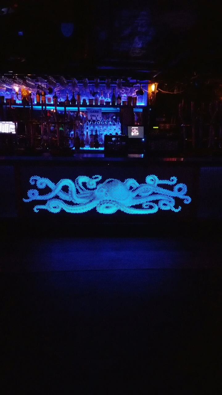 This image has an empty alt attribute; its file name is backlit-octopus-1-1.jpeg